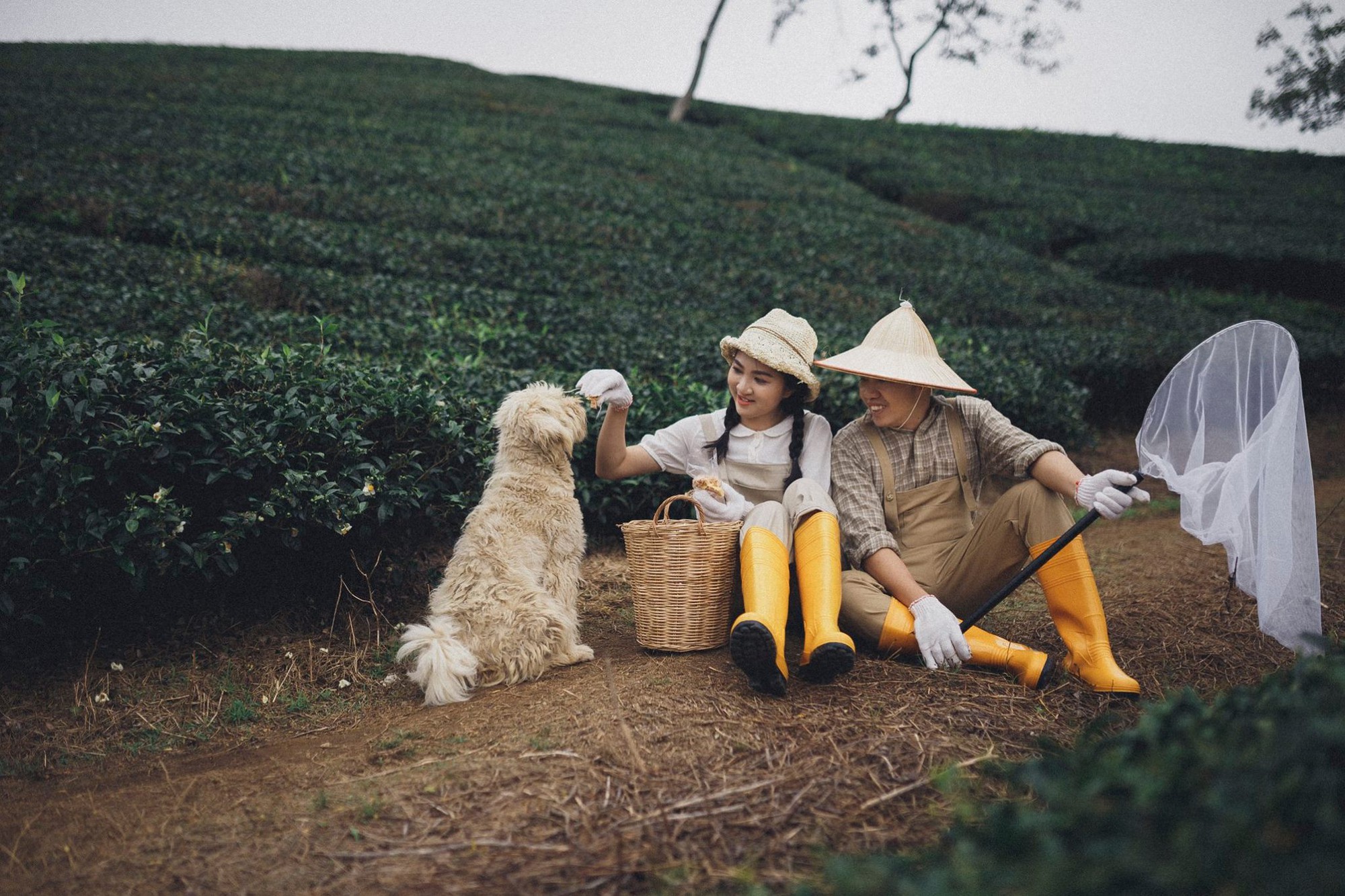 Cặp đôi trẻ đang chụp ảnh thì có chú chó ra chơi, ai dè xinh quá nên ẻm thành nhân vật chính luôn! - Ảnh 7.