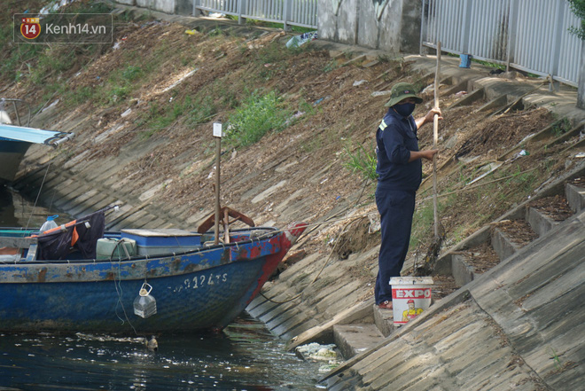 Đà Nẵng: Người dân sống dọc sông Phú Lộc lo lắng khi hàng trăm kilogram cá chết nổi trắng mặt sông, bốc mùi hôi thối - Ảnh 3.