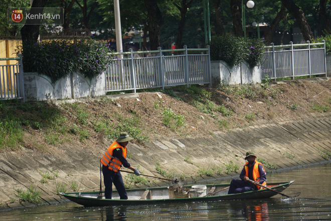 Đà Nẵng: Người dân sống dọc sông Phú Lộc lo lắng khi hàng trăm kilogram cá chết nổi trắng mặt sông, bốc mùi hôi thối - Ảnh 4.