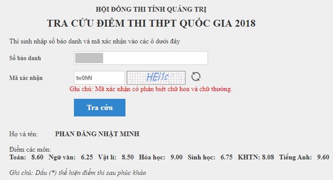 Điểm thi của Cậu bé Google Phan Đăng Nhật Minh: Tiếng Anh 9,6 Văn 6,25 - Ảnh 2.