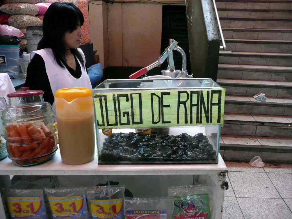 Chuyện thật như đùa, người Peru còn uống cả sinh tố... ếch nữa mới sốc - Ảnh 1. Chuyện thật như đùa, người Peru còn uống cả sinh tố... ếch nữa mới sốc - Ảnh 1.