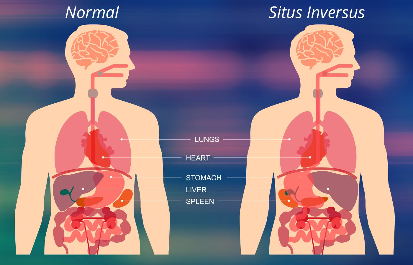 5 siêu năng lực cực hiếm bạn có thể đang sở hữu mà không hề hay biết - đặc biệt là cái cuối cùng - Ảnh 1.