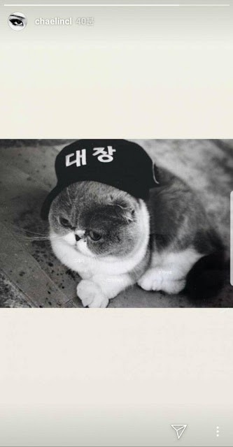 Tốt kh&ocirc;ng sang s&ocirc;ng, tr&aacute;ch &ocirc;ng đ&aacute;nh cờ, c&oacute; phải CL đăng Instagram story nhằm v&agrave;o CEO Yang Hyunsuk của YG? - Ảnh 1.