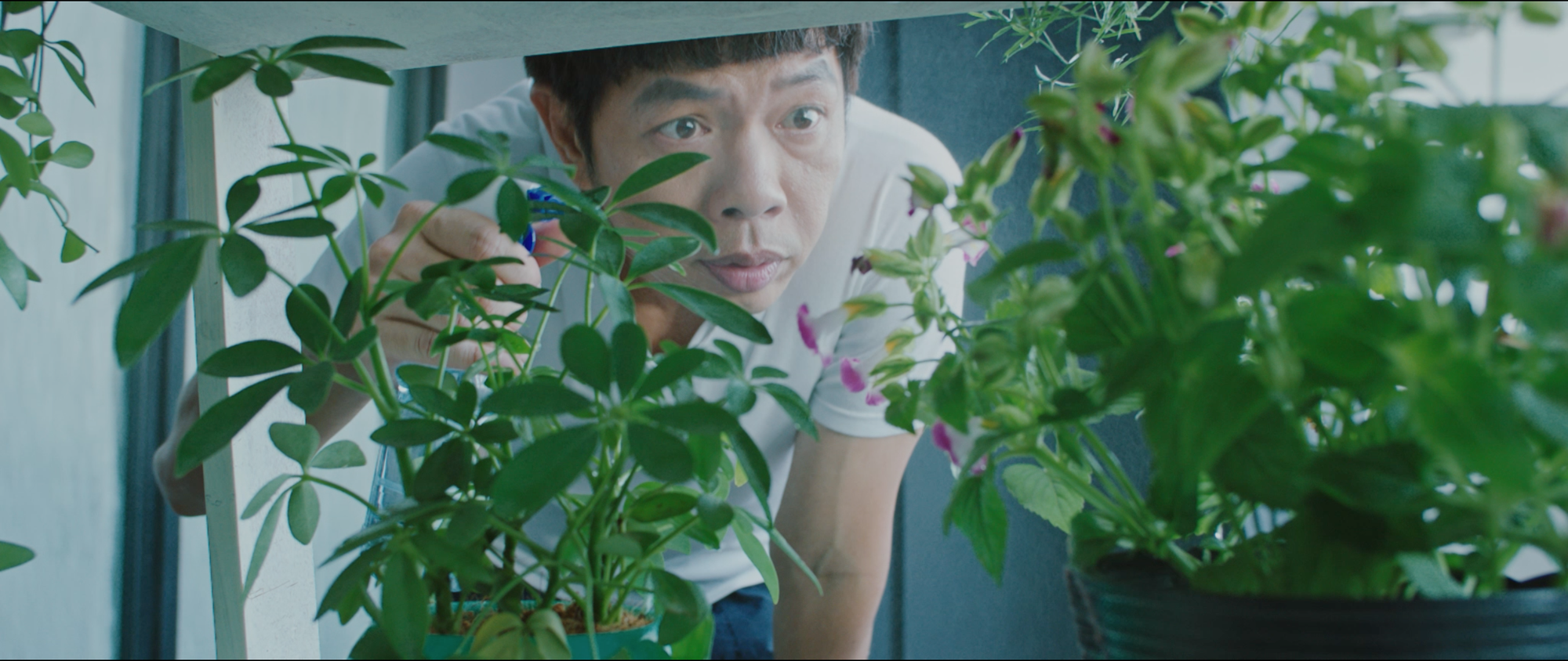 Phương Anh Đào tá hỏa khi thấy Thái Hòa đang vô tư khỏa thân trong nhà mình - Ảnh 6. Phương Anh Đào tá hỏa khi thấy Thái Hòa đang vô tư khỏa thân trong nhà mình - Ảnh 6.