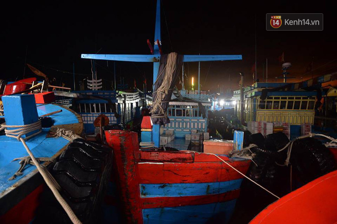 Hàng trăm tàu thuyền được neo đậu tránh bão tại Tĩnh Gia, Thanh Hoá - Ảnh 8.