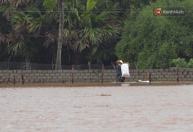 Bão số 3 Sơn Tinh cô lập nhiều nơi ở Thanh Hóa - Ảnh 5.