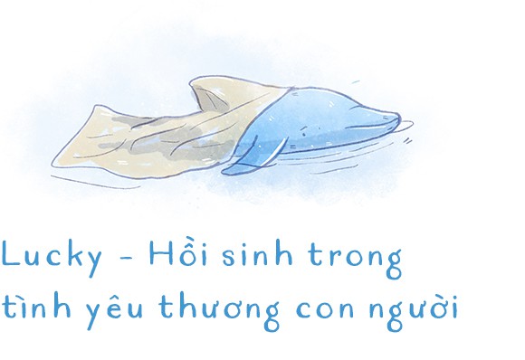 Ba ngày kỳ diệu của Lucky - Em bé cá heo bị thương trôi dạt vào bờ biển và hồi sinh nhờ những người tử tế - Ảnh 10.