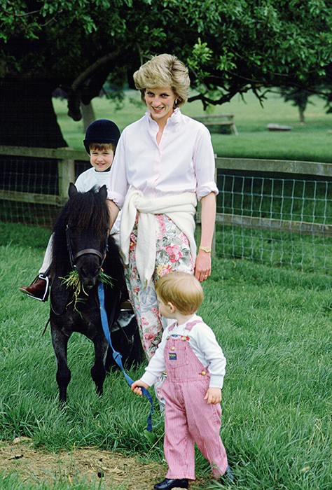 13 khoảnh khắc đẹp nhất của cố Công nương Diana bên anh em hoàng tử Wiliam và Harry từng được ghi lại - Ảnh 6.