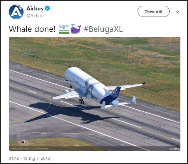 Máy bay đầu to như con cá voi của Airbus có đầy đủ mắt mũi miệng, tên cũng có nghĩa là cá voi luôn! - Ảnh 5.