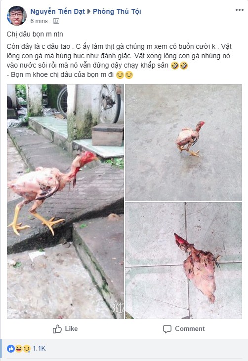 Chàng trai chụp ảnh con gà vẫn chạy tung tăng giữa sân dù đã bị vặt lông, nhúng nước sôi khiến cộng đồng mạng được phen hoảng hốt - Ảnh 1. Chàng trai chụp ảnh con gà vẫn chạy tung tăng giữa sân dù đã bị vặt lông, nhúng nước sôi khiến cộng đồng mạng được phen hoảng hốt - Ảnh 1.