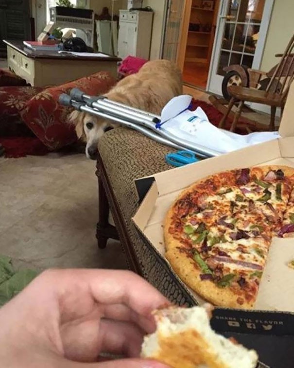 Lại tiếp tục l&agrave; c&aacute;c c&ocirc; cậu c&uacute;n xin ăn, lần n&agrave;y ch&ugrave;m ảnh 26 tấm sẽ c&ograve;n kh&oacute; đỡ hơn nhiều - Ảnh 16.