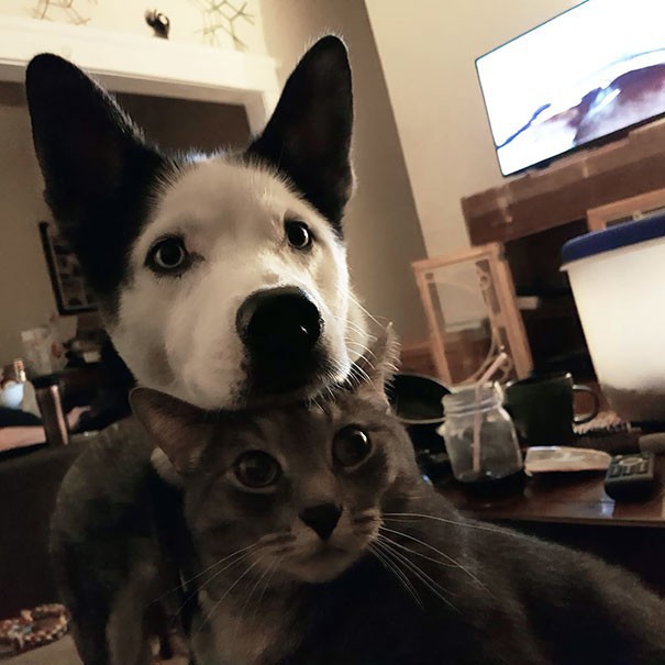 Lại tiếp tục l&agrave; c&aacute;c c&ocirc; cậu c&uacute;n xin ăn, lần n&agrave;y ch&ugrave;m ảnh 26 tấm sẽ c&ograve;n kh&oacute; đỡ hơn nhiều - Ảnh 18.