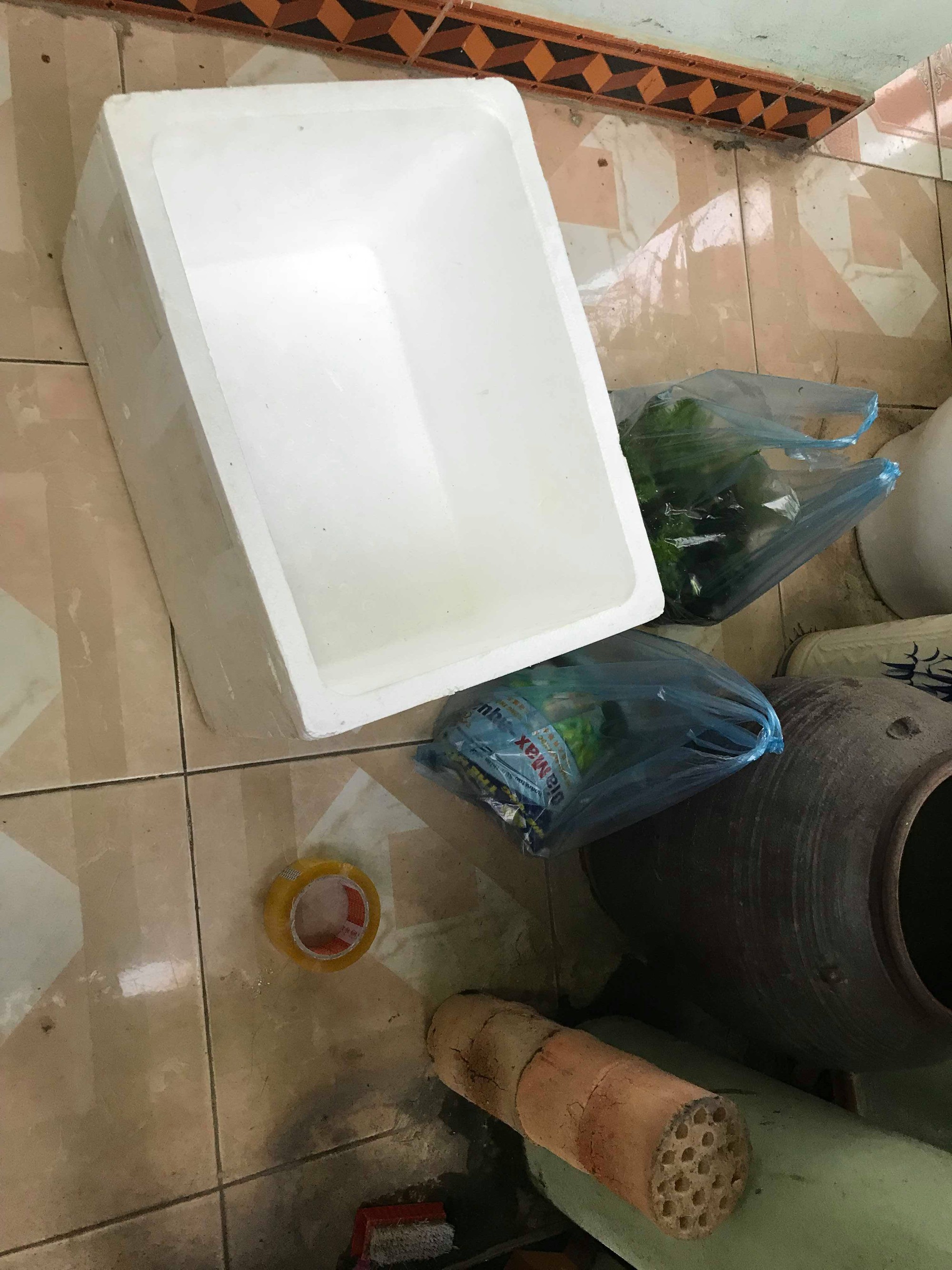 Góc khéo tay hay làm: Chán bể kính đắt tiền, thanh niên setup thùng xốp thủy sinh vừa chất lừ vừa tiết kiệm - Ảnh 4. Góc khéo tay hay làm: Chán bể kính đắt tiền, thanh niên setup thùng xốp thủy sinh vừa chất lừ vừa tiết kiệm - Ảnh 4.