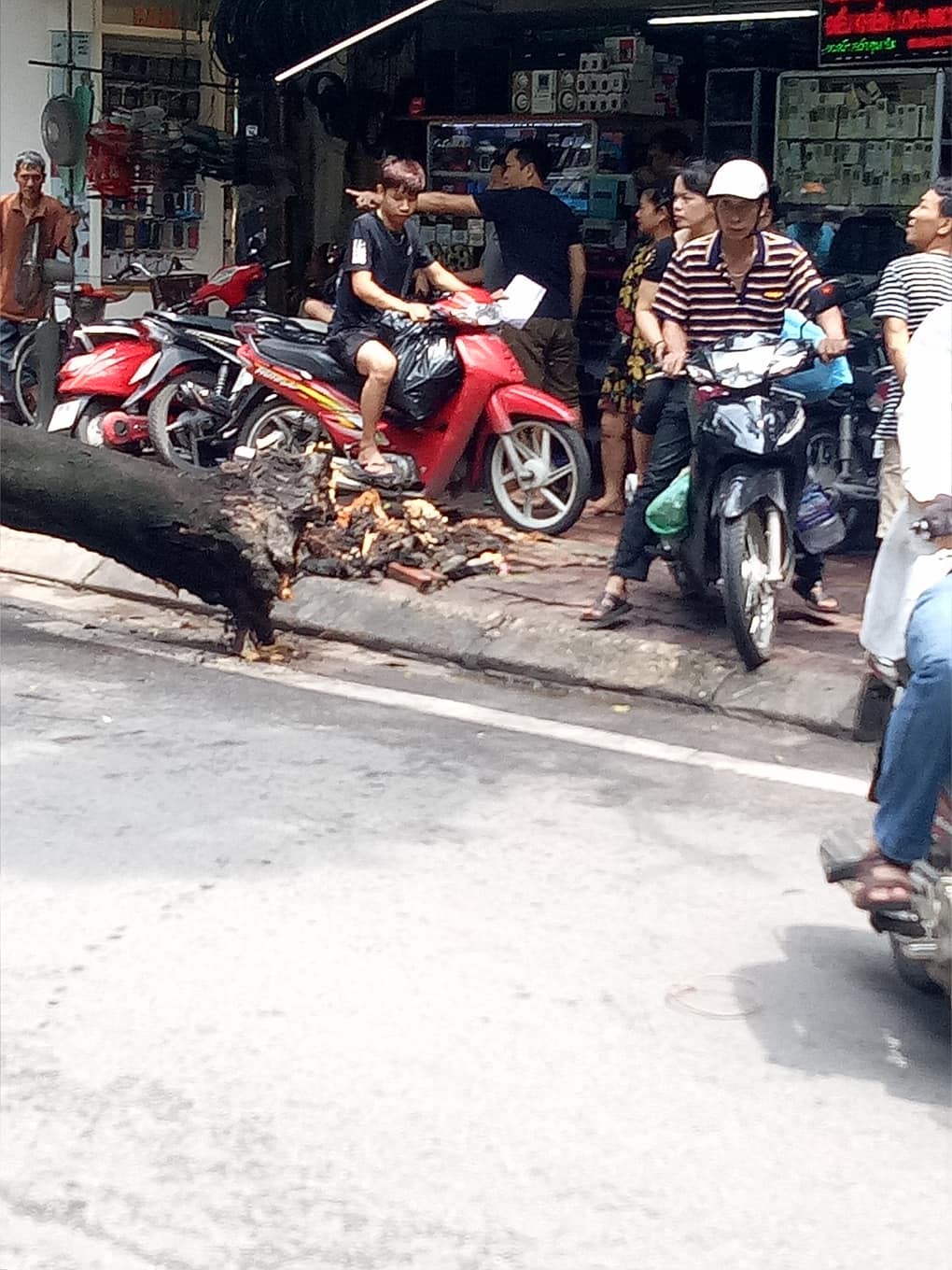 Hà Nội: Ô tô đang đỗ yên lành ven đường thì bị nguyên cây phượng lớn đổ trúng - Ảnh 3. Hà Nội: Ô tô đang đỗ yên lành ven đường thì bị nguyên cây phượng lớn đổ trúng - Ảnh 3.