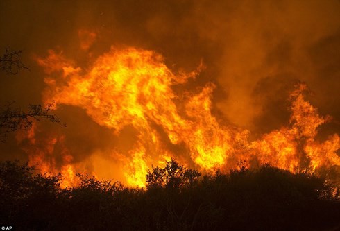 Cháy rừng càn quét dữ dội ở California (Mỹ), 2 lính cứu hỏa thiệt mạng - Ảnh 1.