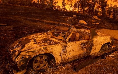 Cháy rừng nghiêm trọng ở Mỹ làm 5 người chết - Ảnh 1.