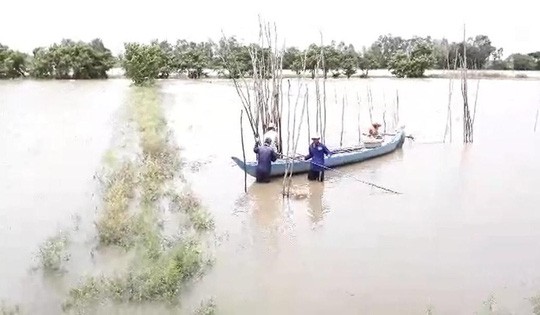 Miền Tây bắt đầu chống chọi với nước lũ từ sự cố vỡ đập ở Lào - Ảnh 2.