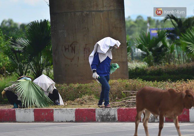 Hà Nội: Mặt đường bốc hơi dưới cái nắng nóng 40 độ, công nhân công ty cây xanh phải che lá chống nắng - Ảnh 7.