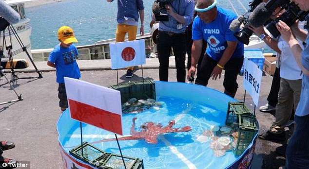 Bạch tuộc dự đoán đúng 100% kết quả World Cup vẫn bị ngư dân Nhật Bản làm thịt - Ảnh 1.