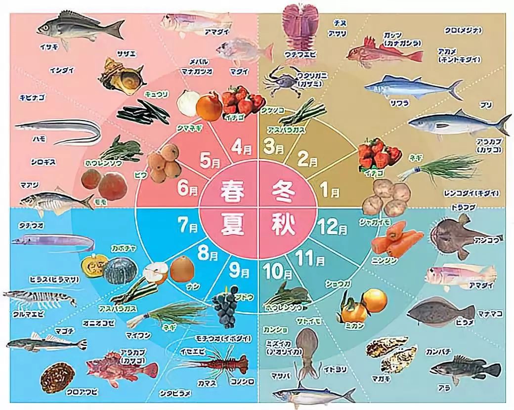 四季 日本の料理 全4巻 春・夏・秋・冬 その他