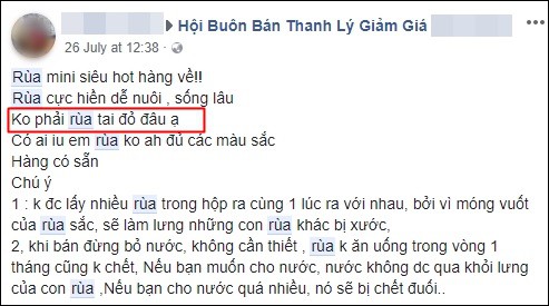 Nở rộ trào lưu bán rùa mini sơn đủ màu trên mạng xã hội, Nhà Rùa học Hà Đình Đức lên tiếng cảnh báo - Ảnh 5.