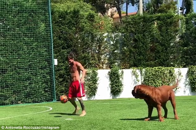 Video Messi đá bóng với chú chó khổng lồ gây sốt - Ảnh 2.
