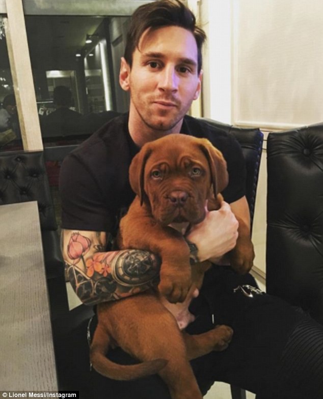 Video Messi đá bóng với chú chó khổng lồ gây sốt - Ảnh 3.