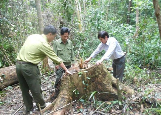 Lâm tặc vội trốn chạy, để quên cả... hộ khẩu - Ảnh 1.