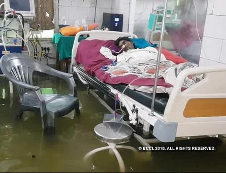 Ấn Độ: Mưa lớn gây ngập nặng, cá bơi vào bệnh viện - Ảnh 5.