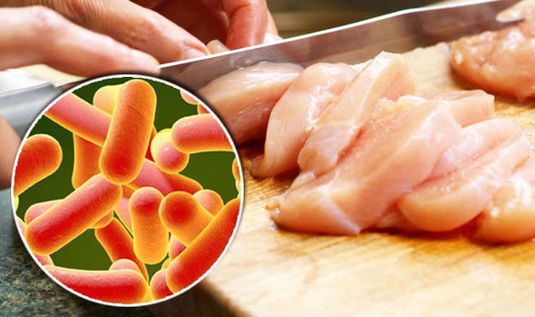 Tìm hiểu về Salmonella - hung thủ gây chứng ngộ độc kinh khủng nhất - Ảnh 4.