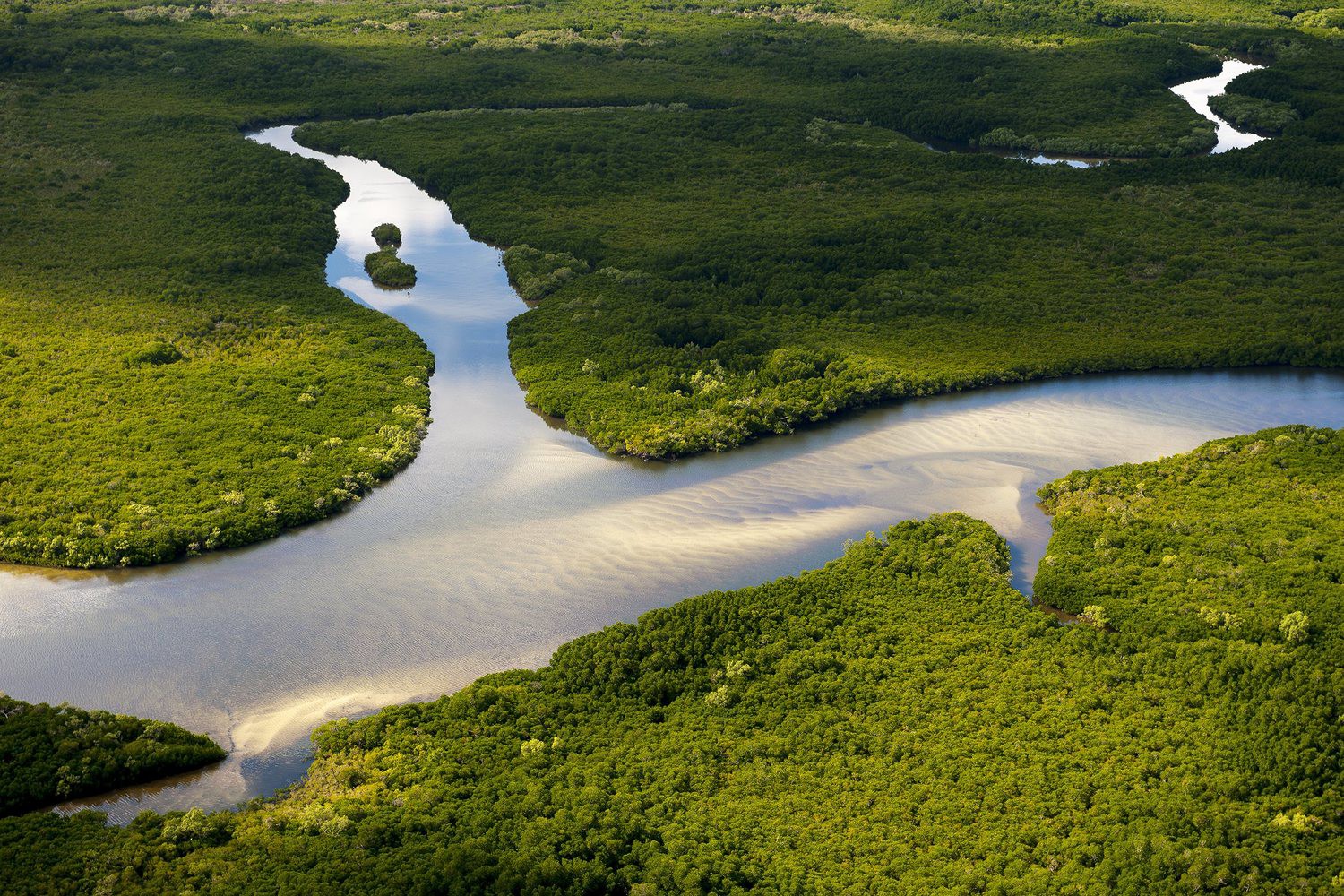 Earth Overshoot Day - ngày mà nhân loại lạm dụng tài nguyên vượt quá khả năng phục hồi của Trái đất đã đến rồi - Ảnh 1.