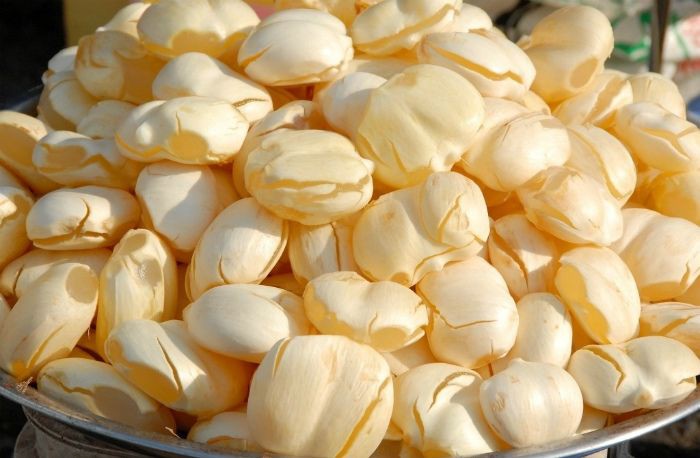 Người miền Tây có 2 loại quả ngọt thơm, độc lạ cực kỳ hợp để giải nhiệt mùa hè - Ảnh 1. Người miền Tây có 2 loại quả ngọt thơm, độc lạ cực kỳ hợp để giải nhiệt mùa hè - Ảnh 1.