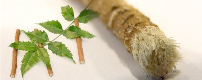 Chuyện vệ sinh răng miệng lạ đời trên thế giới: Nhai mía, xỉa răng bằng lông nhím mà hàm răng trắng sáng như thường - Ảnh 4. Chuyện vệ sinh răng miệng lạ đời trên thế giới: Nhai mía, xỉa răng bằng lông nhím mà hàm răng trắng sáng như thường - Ảnh 4.