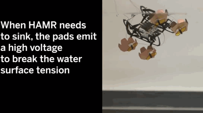 Harvard phát triển thành công robot đổ bộ siêu nhỏ có thể bơi lội, đi bộ dưới nước và lên bờ thành thạo - Ảnh 3.