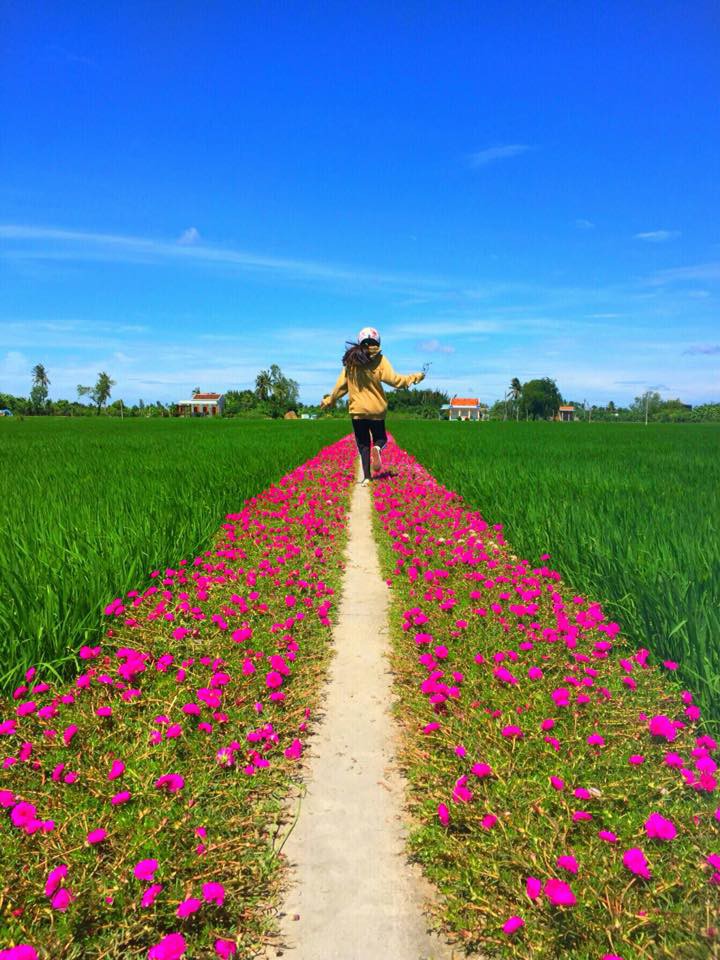 Đường hoa 10 giờ Tiền Giang đẹp như tranh, dân mạng check in bằng được - Ảnh 2. Đường hoa 10 giờ Tiền Giang đẹp như tranh, dân mạng check in bằng được - Ảnh 2.