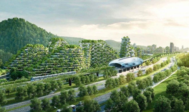 Trung Quốc sẽ xây dựng hàng trăm thành phố rừng vào 2025 - Ảnh 1.