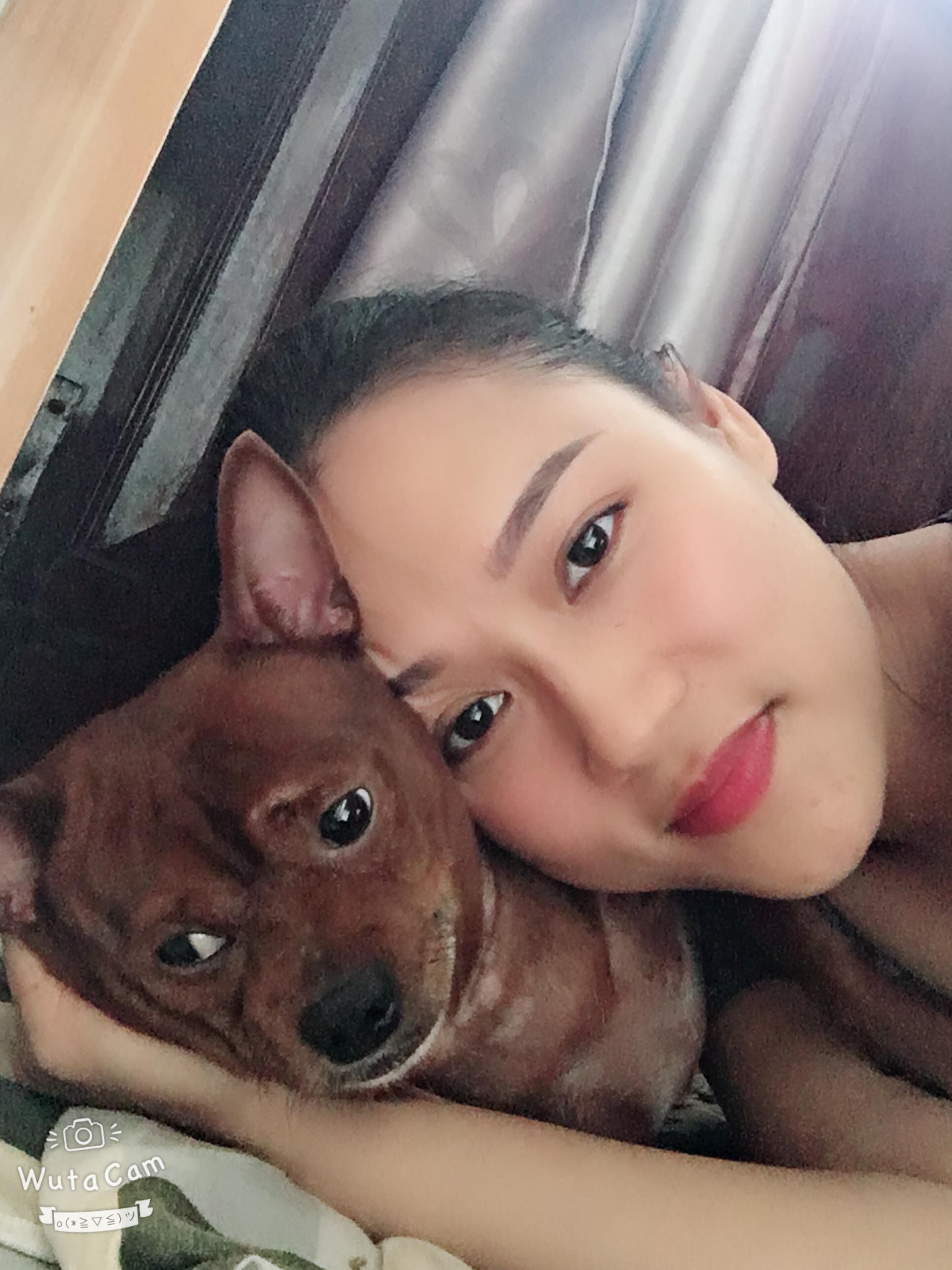 Xuất hiện chú chó phốc to con nhất MXH: Nặng 11 cân, lăn nhanh hơn chạy và ăn bất cứ gì trong tầm mắt - Ảnh 7. Xuất hiện chú chó phốc to con nhất MXH: Nặng 11 cân, lăn nhanh hơn chạy và ăn bất cứ gì trong tầm mắt - Ảnh 7.