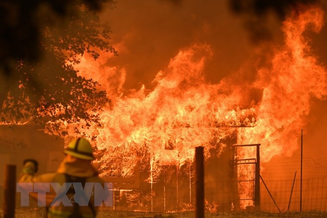 Ch&aacute;y rừng đe dọa h&agrave;ng ngh&igrave;n gia đ&igrave;nh tại th&agrave;nh phố Los Angeles - Ảnh 1.
