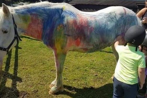 Anh: Trào lưu tổ chức bữa tiệc vẽ ngựa cho trẻ em bị phản đối kịch liệt - Ảnh 3.