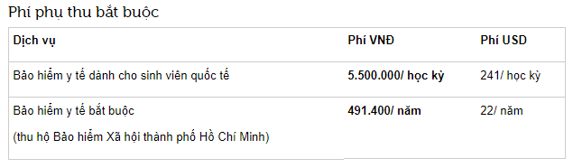 Học phí cao ngất ngưởng của trường RMIT Việt Nam: Chỉ có con nhà giàu mới theo học được! - Ảnh 4.