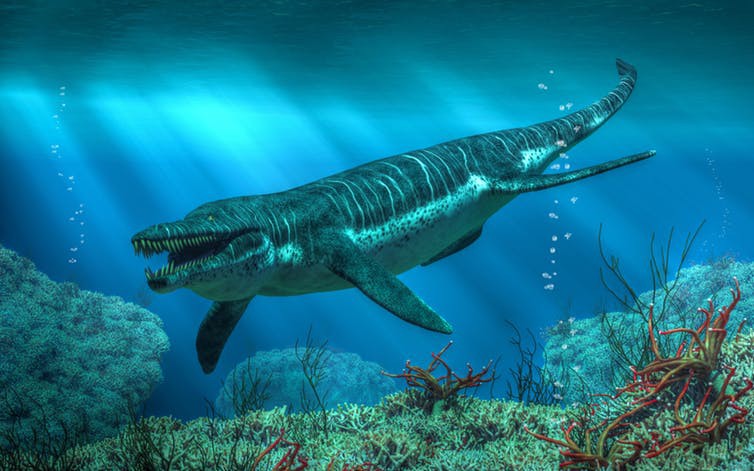 Đây là 5 con quái vật tiền sử cũng xứng đáng được lên phim giống Megalodon - Ảnh 2. Đây là 5 con quái vật tiền sử cũng xứng đáng được lên phim giống Megalodon - Ảnh 2.