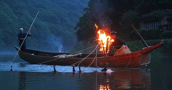 Đây là cách đánh cá độc đáo giúp người Nhật được UNESCO vinh danh - Ảnh 3.