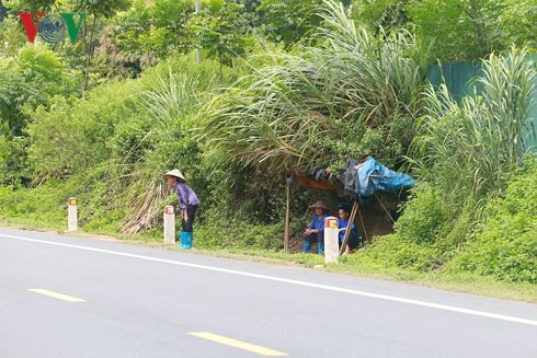 Lạng Sơn: Dân dựng lều nhặt tiền lẻ trên Quốc lộ 1 - Ảnh 4.