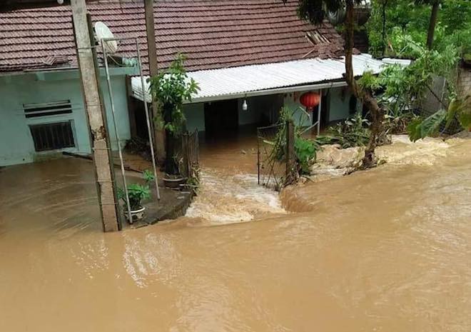 Mưa lũ l&agrave;m quốc lộ ngập s&acirc;u, lợn treo tr&ecirc;n cao, g&agrave; nhảy l&ecirc;n c&acirc;y trốn lũ ở Nghệ An - Ảnh 1.