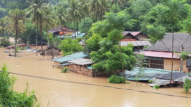  Mưa lũ làm quốc lộ ngập sâu, lợn treo trên cao, gà nhảy lên cây trốn lũ ở Nghệ An - Ảnh 4.