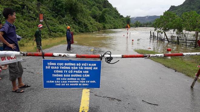  Mưa lũ làm quốc lộ ngập sâu, lợn treo trên cao, gà nhảy lên cây trốn lũ ở Nghệ An - Ảnh 6.