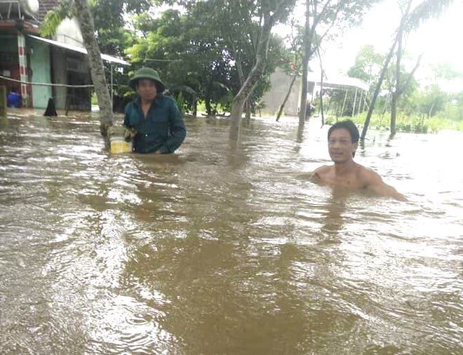  Mưa lũ l&agrave;m quốc lộ ngập s&acirc;u, lợn treo tr&ecirc;n cao, g&agrave; nhảy l&ecirc;n c&acirc;y trốn lũ ở Nghệ An - Ảnh 8.