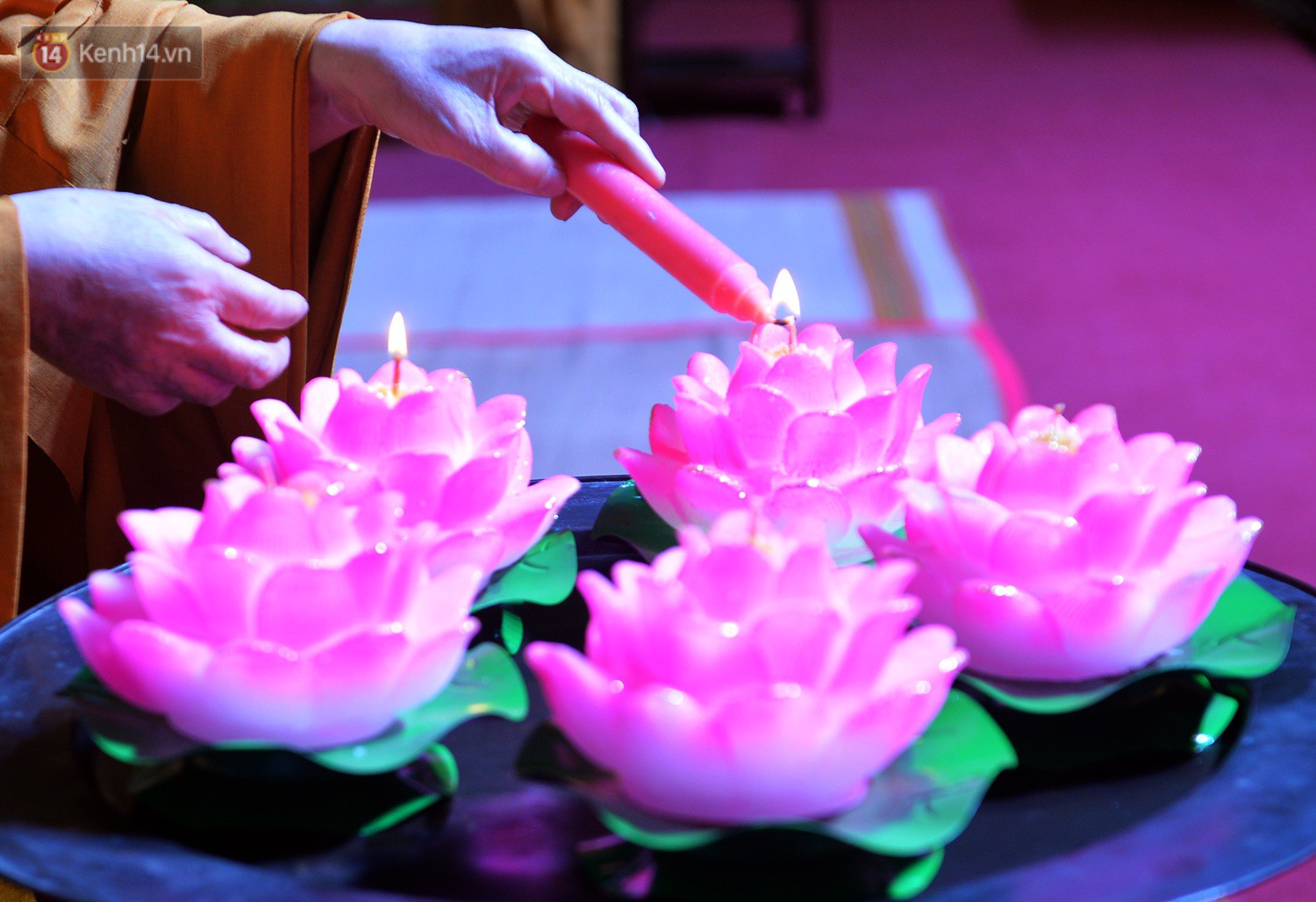 Nhiều người cài hoa trắng bật khóc tại lễ Vu Lan tháng Bảy: Ai còn cha còn mẹ thì vui lắm chứ... - Ảnh 4. Nhiều người cài hoa trắng bật khóc tại lễ Vu Lan tháng Bảy: Ai còn cha còn mẹ thì vui lắm chứ... - Ảnh 4.