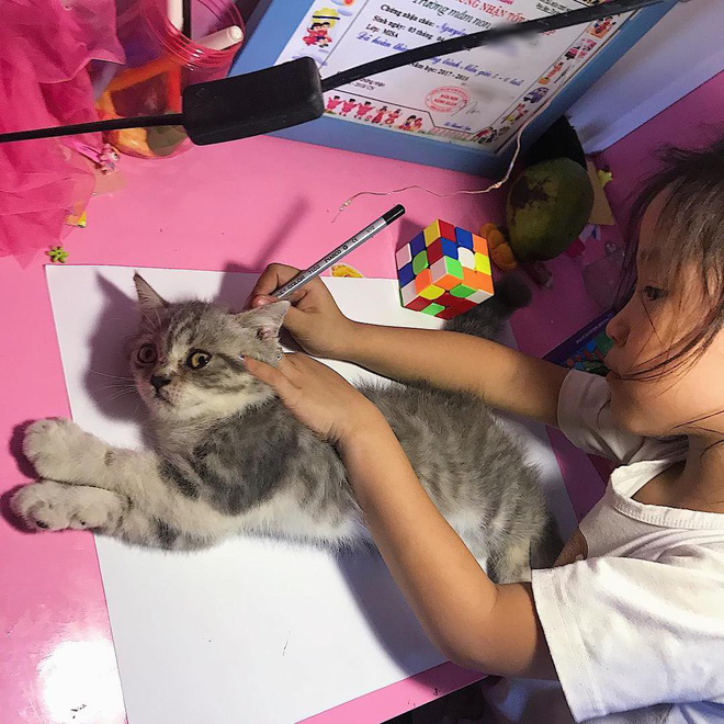Góc sáng tạo: Được cô giáo giao bài tập vẽ con mèo, bé gái bê luôn boss nhà ra photo cho nhanh - Ảnh 1.