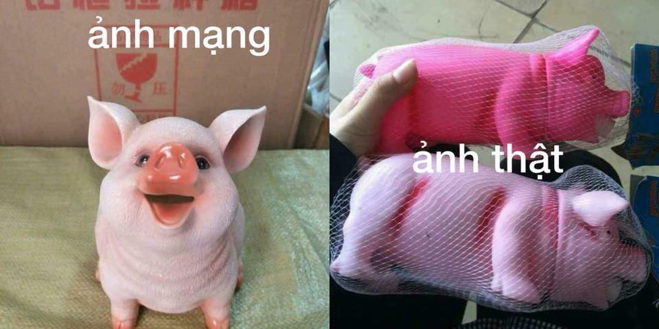 Äặt mua heo há»ng cute qua mạng, thanh niên nháºn vá» con lợn nhá»±a mặt mÅ©i không thá» gian manh hÆ¡n - Ảnh 3.
